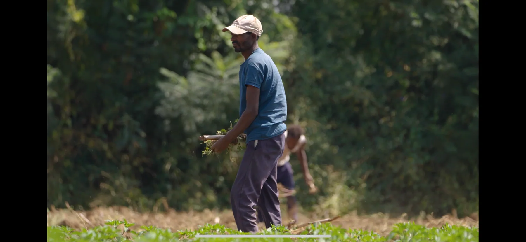 TOV - Agricultural Video Production — photo 2