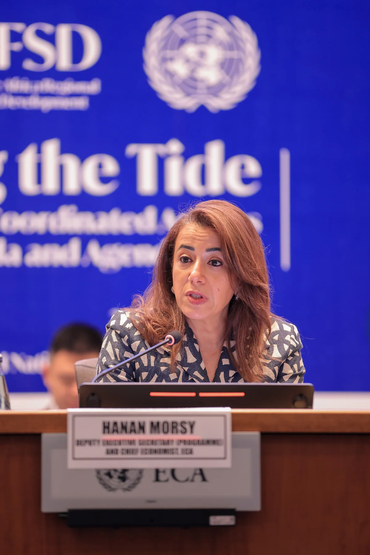 12th Africa Regional Forum on Sustainable Development (ARFSD) — photo 10