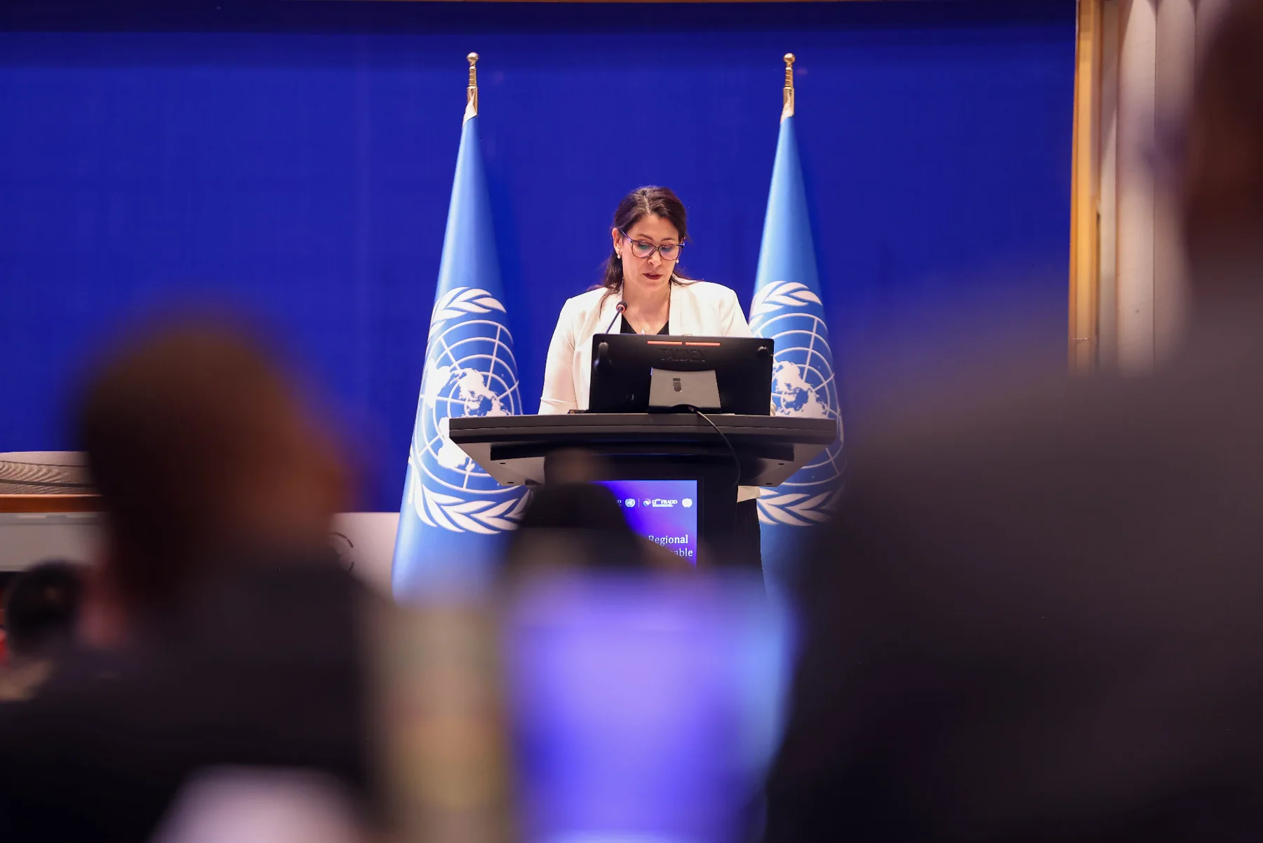 12th Africa Regional Forum on Sustainable Development (ARFSD) — photo 6